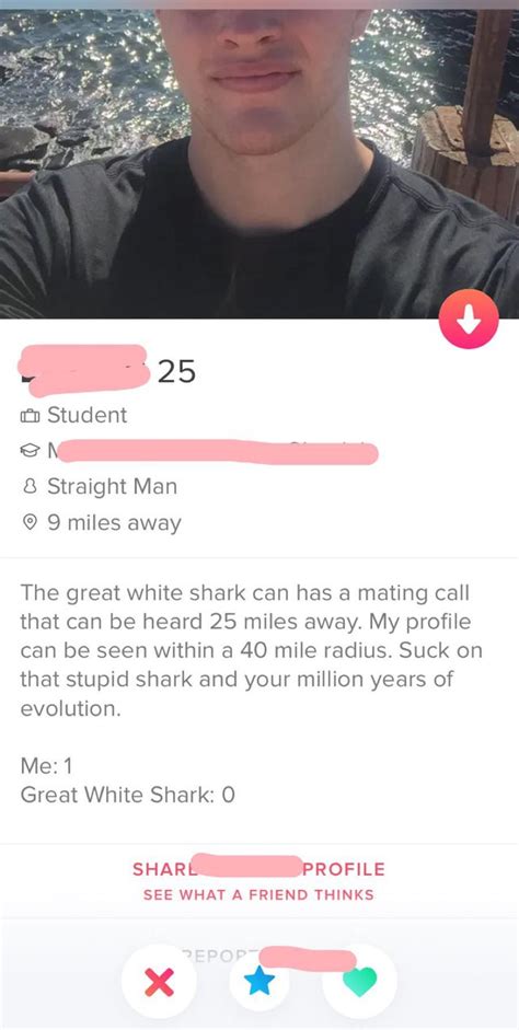The Best And Worst Tinder Profiles And Conversations In The World 219