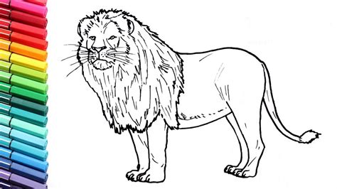 Best Of Wild Animal Coloring Pages For Preschoolers Thousand Of The