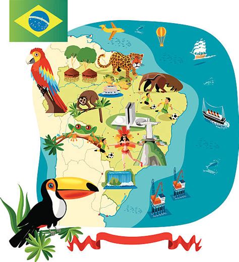 10 Recife Brazil Cartoon Stock Photos Pictures And Royalty Free Images