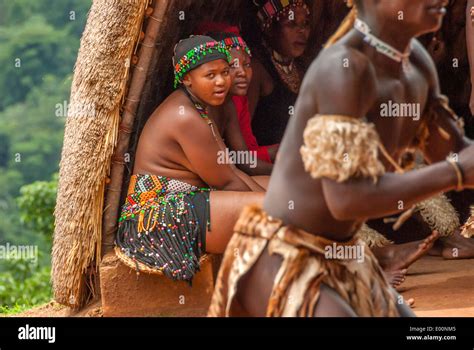 Zulu Tribe Male And A Female In Traditional Dress Performing For The Public At Phezulu Village