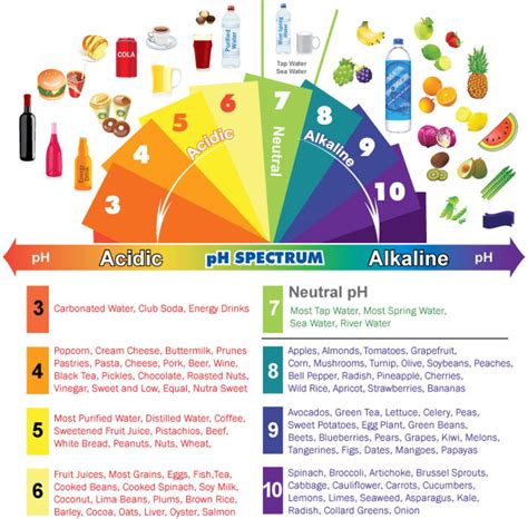 Alkaline Acidic Foods Chart Understanding The Ph Spectrum Of Food Artofit