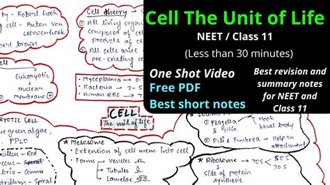Mind Map Cell The Unit Of Life One Shot Neet Cbse Class Chapter My