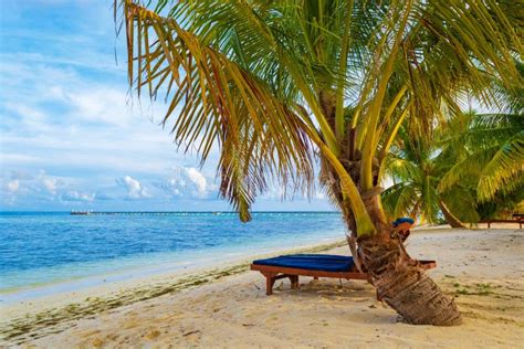 Beautiful Beach View Bodufinolhu Island Maldives Stock Photo Image Of