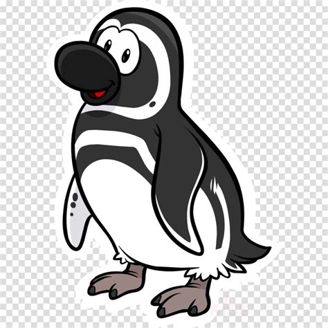 Penguin clipart humboldt penguin, Penguin humboldt penguin Transparent FREE for download on ...