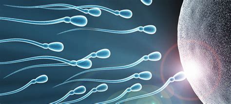 When To Go For Iui Fertility Treatment And How It Works Jannee