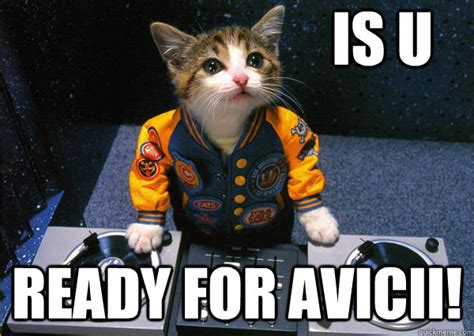 Is U Ready For Avicii Dj Cat Quickmeme