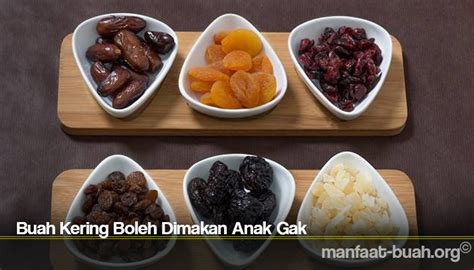 Buah bidara dianggap efektif menyembuhkan penyakit karena kandungan nutrisi dan vitamin alami di dalamnya. Buah Kering Boleh Dimakan Anak Gak | MANFAAT BUAH