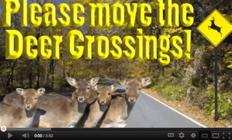 Please Move The Deer Crossings Addicted To Hunting