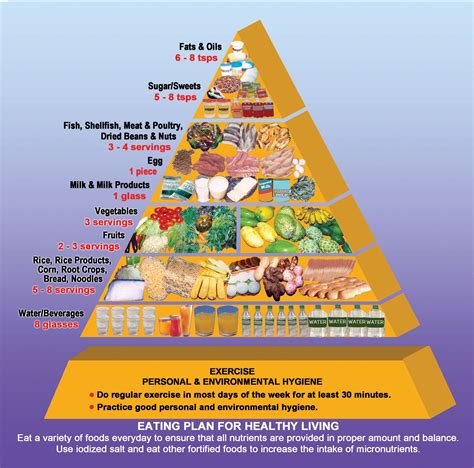 Daily Nutrition Guide Pyramid
