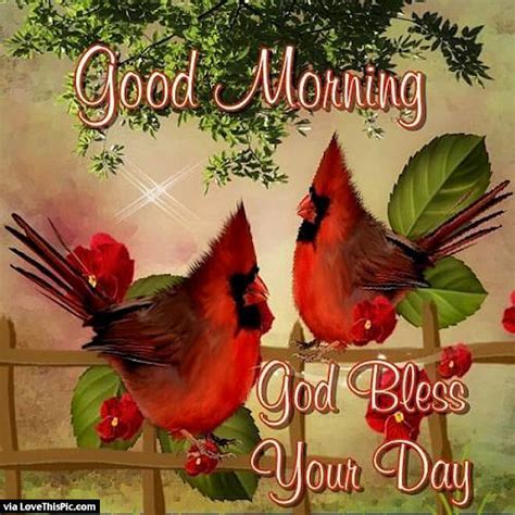 Good Morning God Bless You Pictures Photos And Images