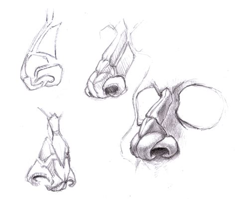 Magellin Blog Nose Sketches