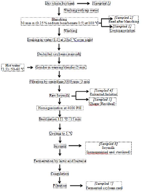 Flow Diagram For Processing Of Soybeans To Soymilk And Its Fermentation