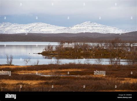 Norway Lapland Finnmark County Karasjok Landscape Between Karasjok