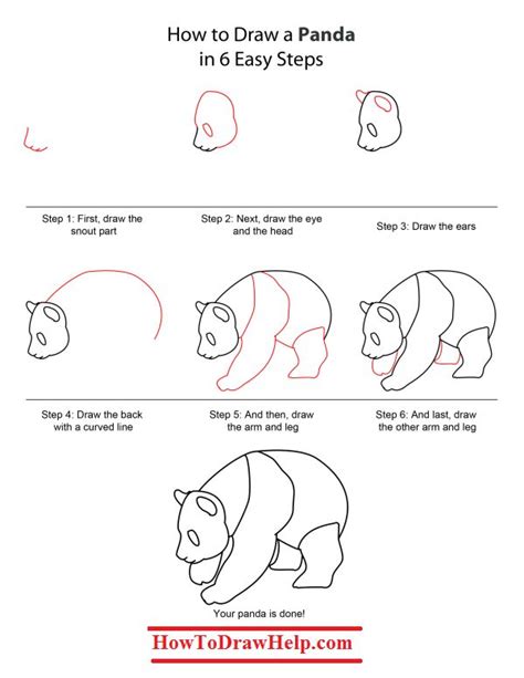 Panda How To Draw Learnning And Fun Pinterest