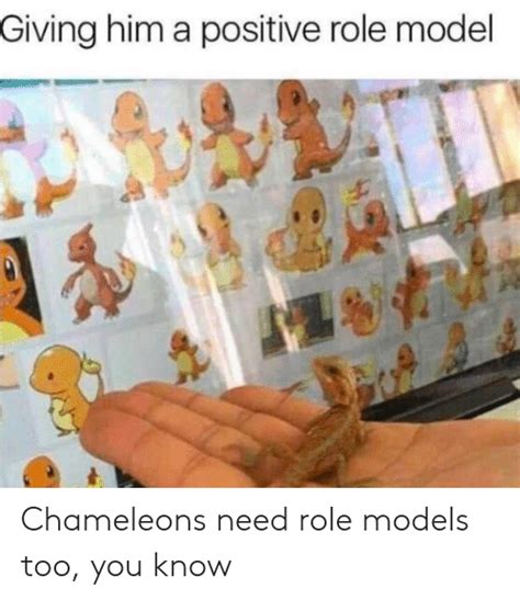giving him a positive role model chameleons need role models too you know models meme on me me
