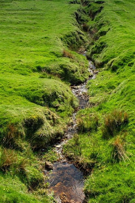 Stream Winding Through Lush Green Fields Stock Photo Image Of Scenic