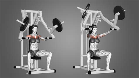 Chest Press Vs Bench Press Are They Different Exercises Inspire Us