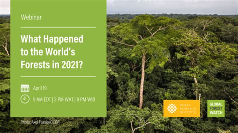 What Happened To The Worlds Forests In 2021 Help Center Global