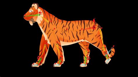 Tiger Walking Animation In After Effects Youtube