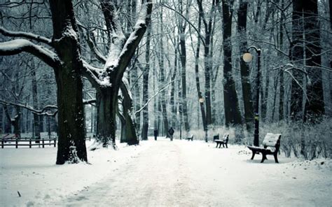 Path Trail Winter Snow Trees Forest Bench Wallpaper 1920x1200 29849