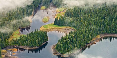 Tongass National Forest Wildlife Location In Alaska North