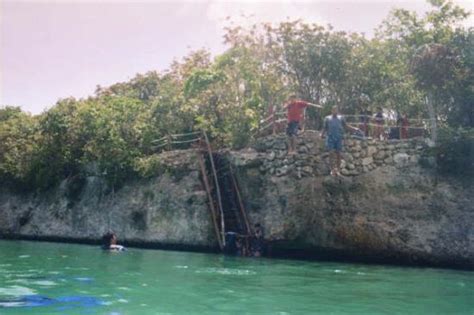 Cliff Jumping At Xel Ha Picture Of Hotel Riu Playacar