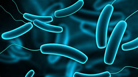 Bacteria are known for live in reversed condition. Bacteria in Water - Secondwind Water Systems