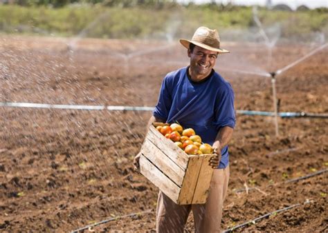 'agricultor' apareix també a les següents entrades Dia do Agricultor - 28 de julho | Revista Procampo