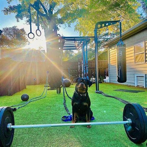 New Fitness Franchise Launches Outdoor Training Gym Space Movestrong