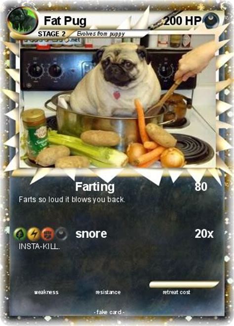 Other funny fat dog memes. 22 best Fake Pokemon Cards images on Pinterest