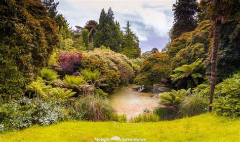 Explore The Lost Garden Of Heligan In Cornwall England