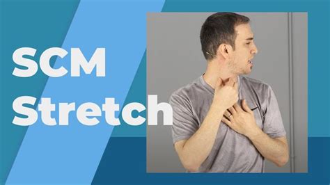 Sternocleidomastoid Stretch Scm For Posture Correction