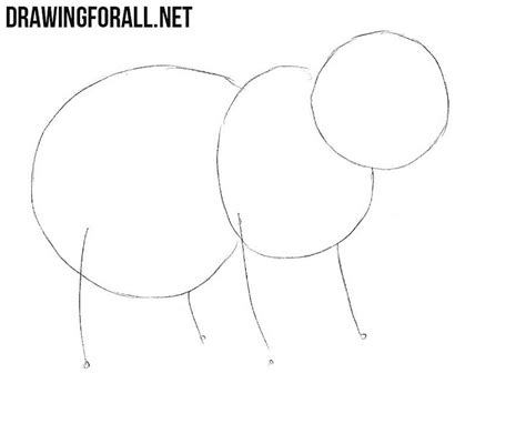 Please enter your email address receive free weekly tutorial in your email. How to Draw a Baby Bear | Drawingforall.net