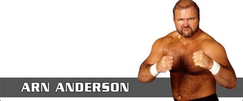 Arn Anderson Wrestling Rosters