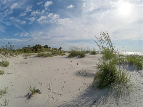 Beach Scenes At Hunting Island South Carolina Photograph By Alex