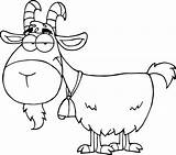 Goat Colouring Picolour sketch template