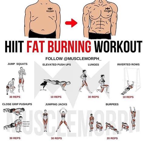 5 quick and easy hiit workouts for toning the whole body hiit workout hiit