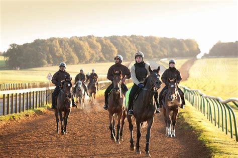 Discover Newmarket In 2022 Visit East Of England