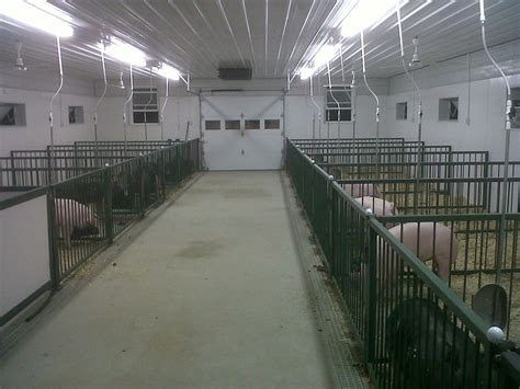 Pig Pens 2020 Livestock Barn