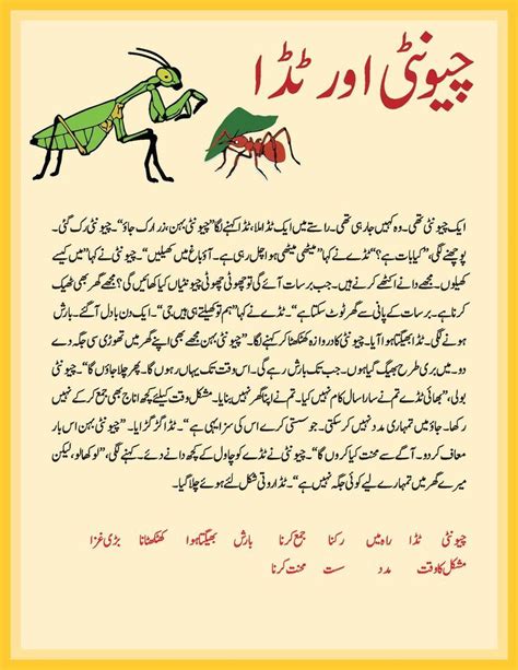Pin On Urdu Tafheem