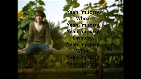 Sorry not sorry is a song recorded by american singer demi lovato. Sorry - NeverShoutNever! lyrics - YouTube