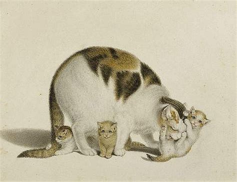 Mind Gottfried 1768 Bern 1814mother Cat With