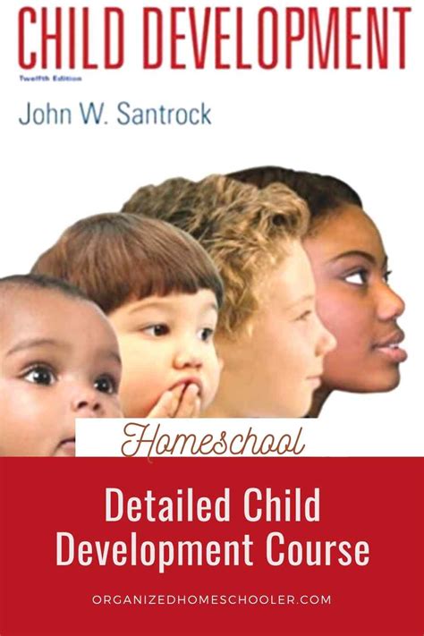 Detailed Child Development Course For High School The Organized
