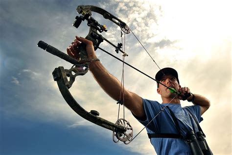 Archery Basics For Beginners The Ultimate Guide For New Archers