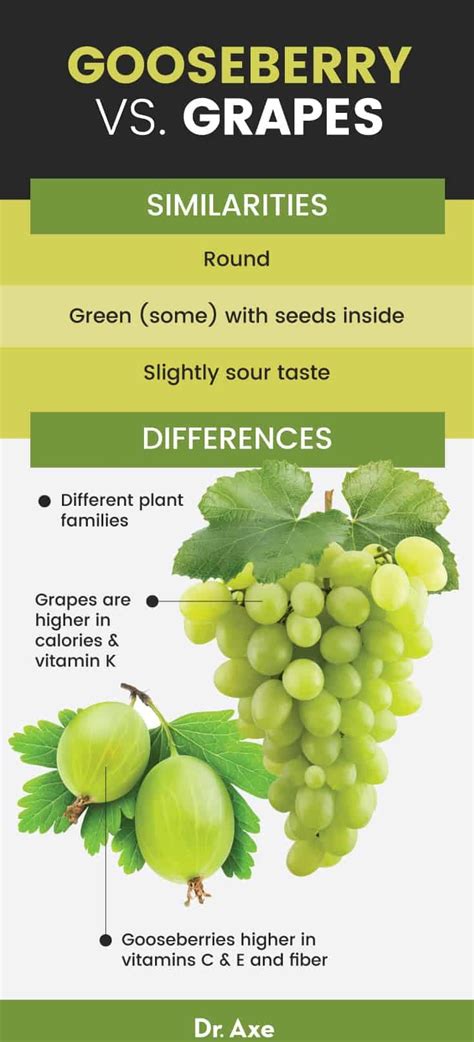 Its origins are not well known, though it is native to several places, including peru. Indian Gooseberry Benefits, Nutrition, Recipes and Side ...