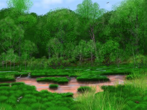 What Americas Forests Looked Like Before Europeans Arrived Live Science