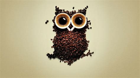 Funny Coffee Owl Wallpaper 9137 Wall Paper