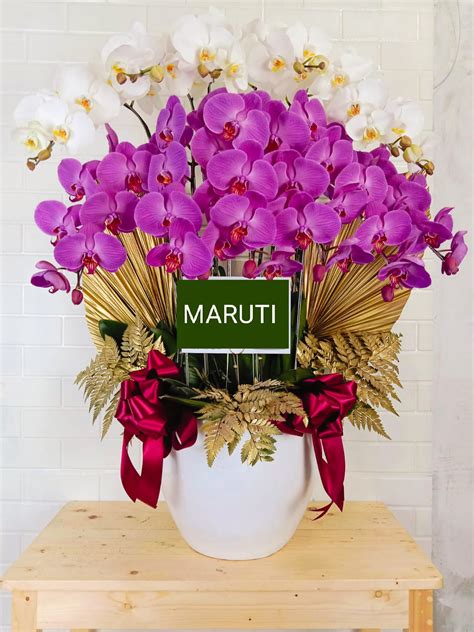 Inv2903 Rangkaian 12 Bunga Anggrek Maruti Florist Fruit Hampers Orchid Bunga Papan