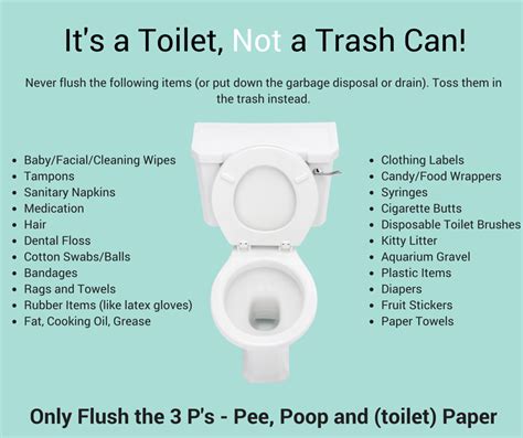 What Not To Flush Water And Sanitation