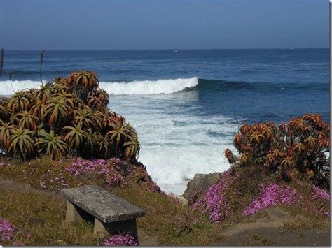 Pacific Grove Rivers Of Flowers To The Sea Fort Ord My Birthplace